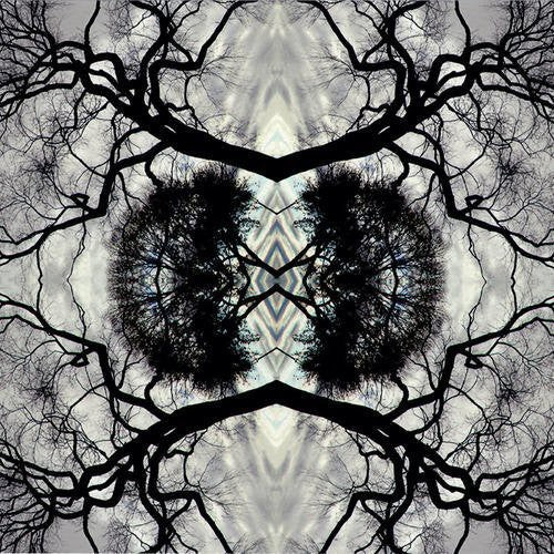 Rudolph,adam - Sonic Mandala Go: Organic Orchestra - Vinyl Record