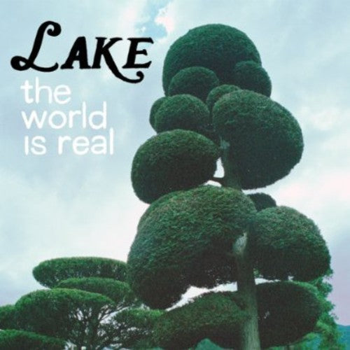 the album cover for Lake - World Is Real