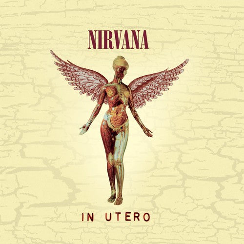 Nirvana - In Utero (20th Anniversary Edition) Music CD