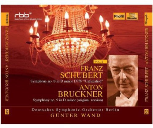 Schubert / Deutsches Symphonie Orchester Berlin - Schubert Bruckner 2: Symphony No 8 & Symphony No 9 - Music CD