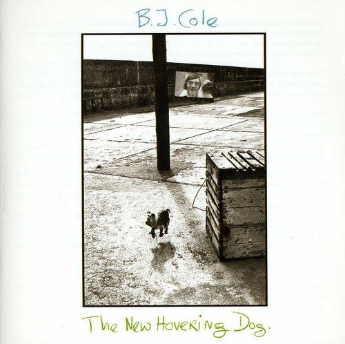 the album cover for BJ Cole - New Hovering Dog