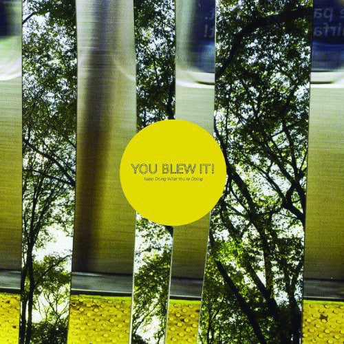 You Blew It - Keep Doing What You're Doing - Vinyl Record
