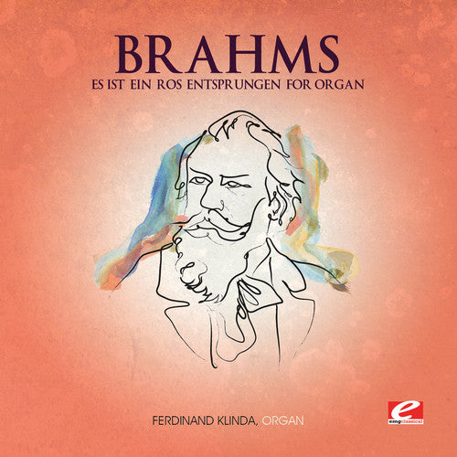Brahms - Es Ist Ein Ros Entsprungen For Organ - Music CD