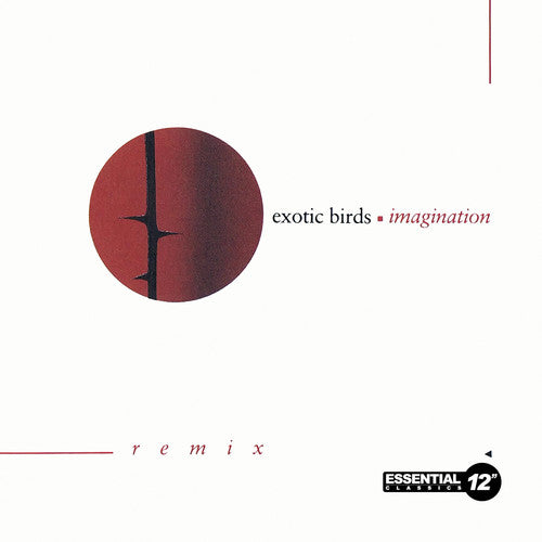 the album cover for Exotic Birds - Imagination (Ep) (Mod)