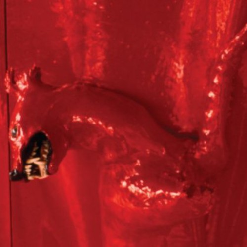 the album cover for William Basinski - A Red Score in Tile