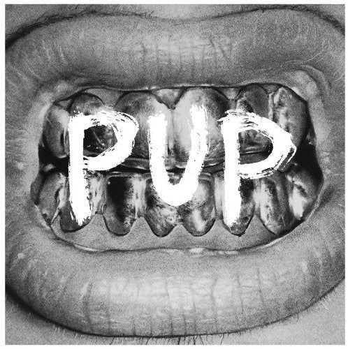 Pup Music CD