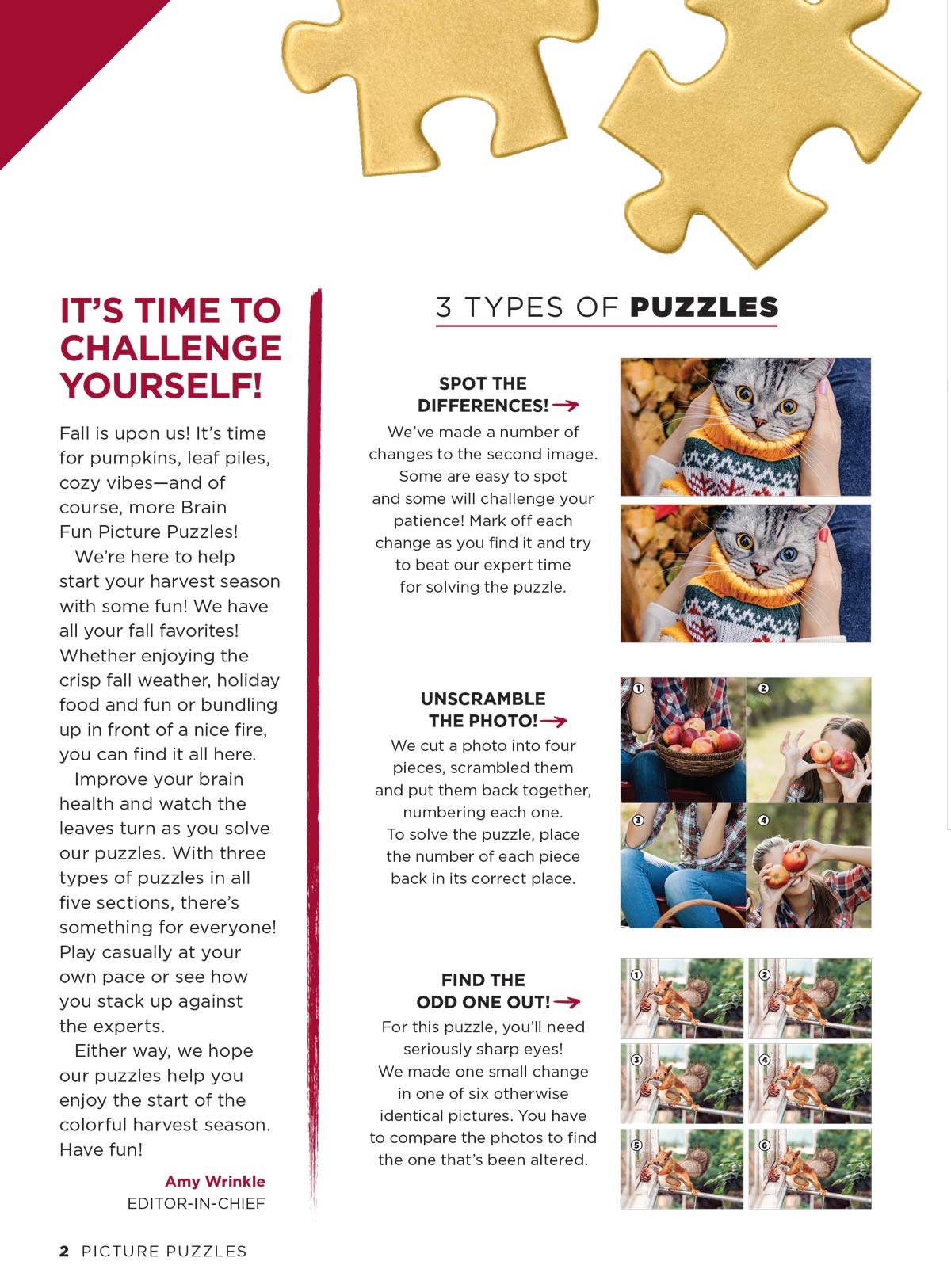 Brain Fun - Picture Puzzles: Spot 266 Differences, 5 Themed Sections, Home & Garden, Fall Fun, Harvest Holidays, Autumn Animals, Sweater Weather, Strengthen Memory, Improve Focus, Relax & More!