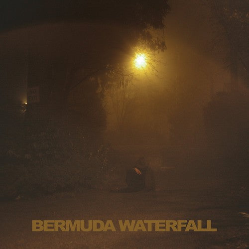 Savage,sean Nicholas - Bermuda Waterfall - Music CD