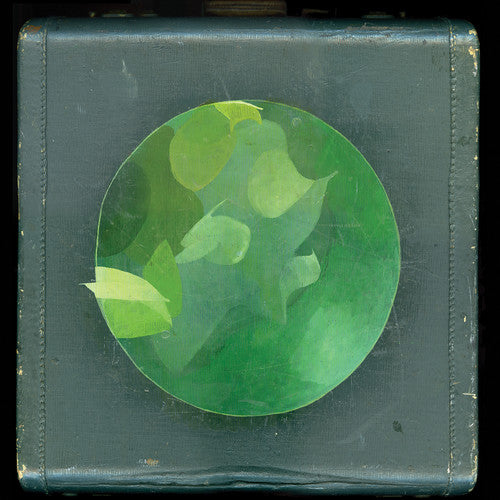 the album cover for Circulatory System - Mosaics Within Mosaics