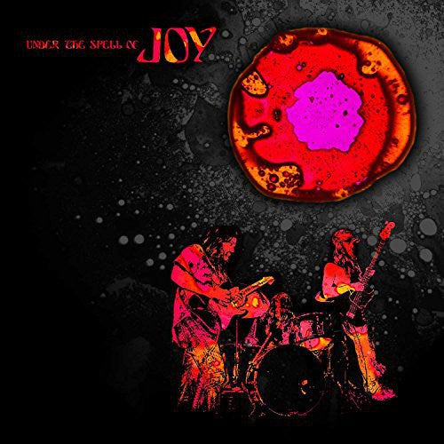 Joy - Under The Spell Of Joy - Vinyl Record