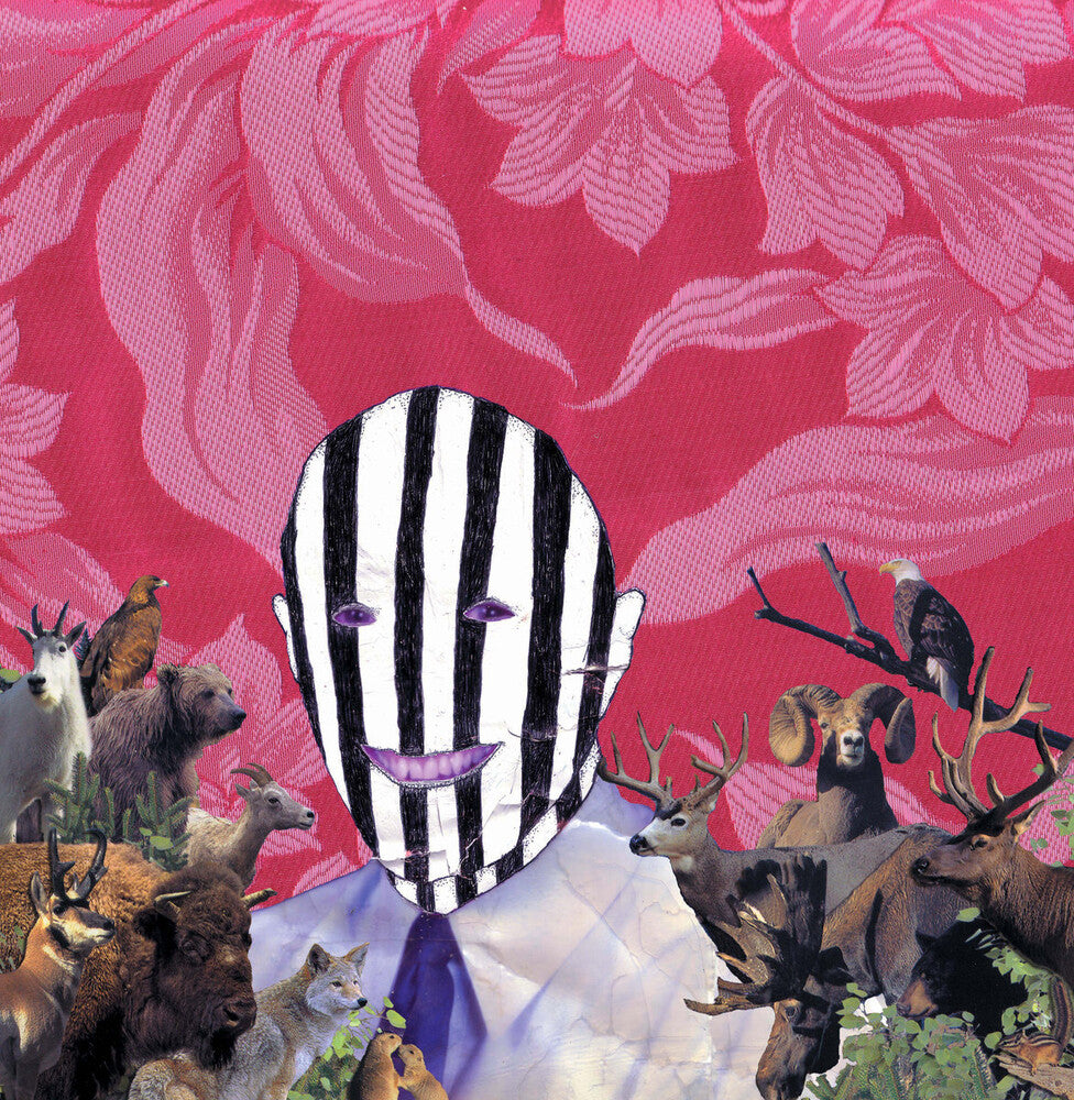 the album cover for Subtle - F.K.O