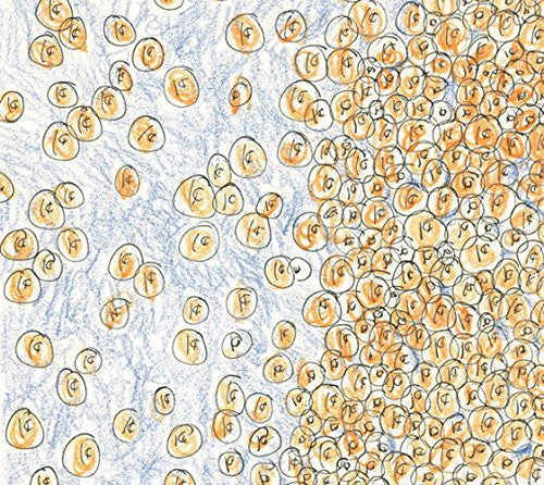 the album cover for David Greenberger & Dozens - Greenberger, David & Dozens : Near the Edge of the Penny Jar Spill