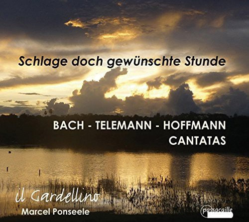 the album cover for Bach / Telemann / Hoffmann - Schlage Doch Gewunschte Stunde