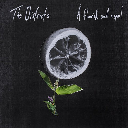 The Districts - Flourish and a Spoil Vinyl Record
