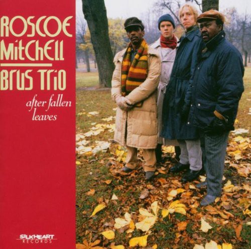 Mitchell,roscoe - After Fallen Leaves - Music CD