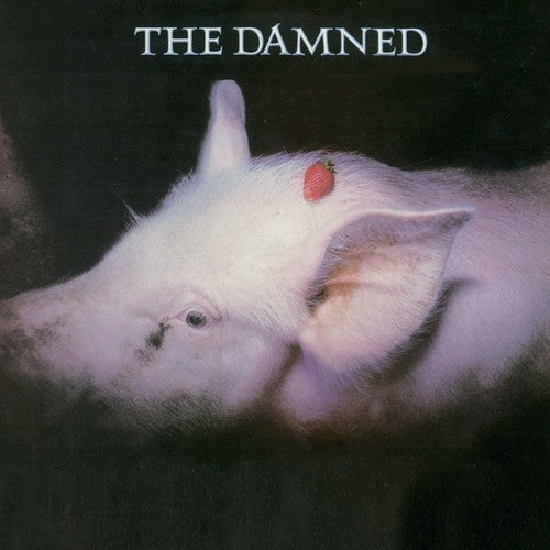 Damned - Strawberries - Music CD