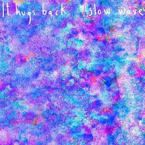It Hugs Back - Slow Wave - Music CD