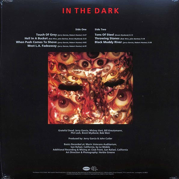 Grateful Dead In The Dark Remastered Edition Vinyl Record