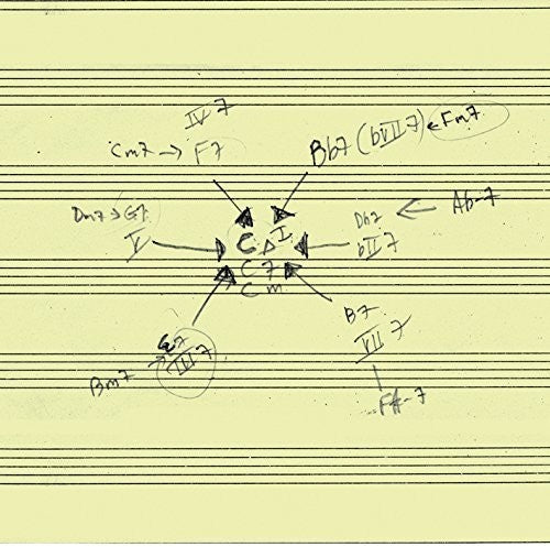 Schott,john - John Schott's Actual Trio - Music CD