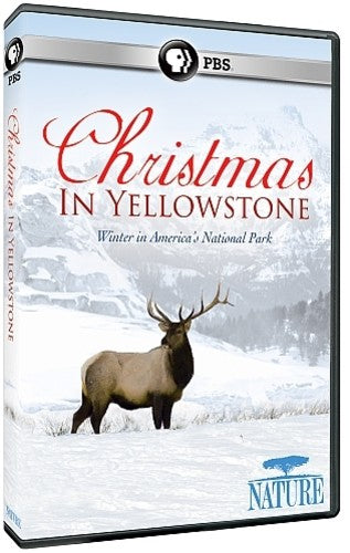 Nature: Christmas In Yellowstone - Nature: Christmas In Yellowstone - DVD