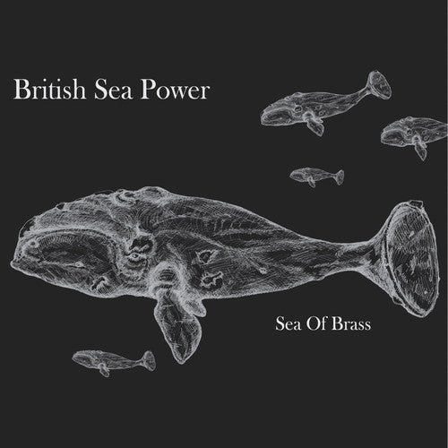 Sea of Brass Music CD