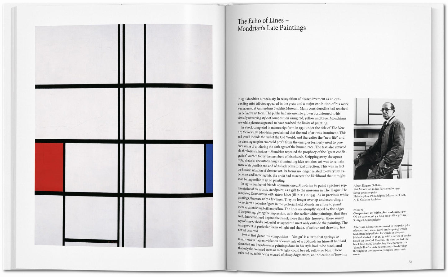 Mondrian (English) Book