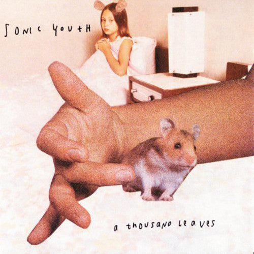 Sonic Youth - A Thousand Leaves Vinyl Record