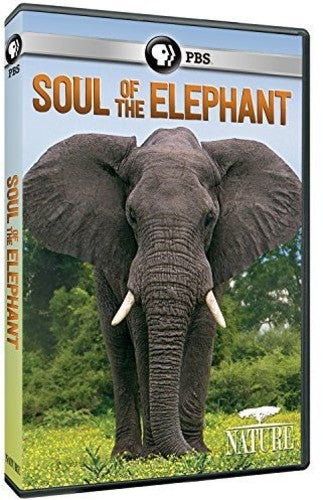 Nature: Soul Of The Elephant - Nature: Soul Of The Elephant - DVD