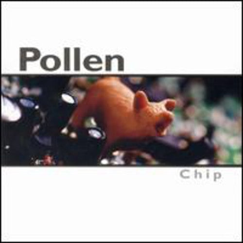 the album cover for Pollen - Chip
