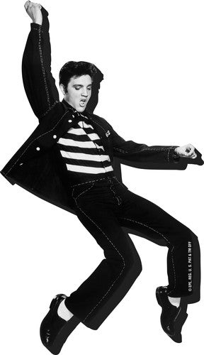 Elvis Presley Jailhouse Rock Funky Chunky Magnet - Elvis Presley Jailhouse Rock Funky Chunky Magnet - Special Products
