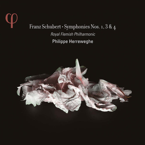 the album cover for Royal Flemish Philharmonic / Philippe Herreweghe - Schubert: Symphonies Nos. 1 3 & 4