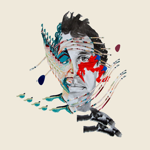Animal Collective - Painting with Vinyl Record