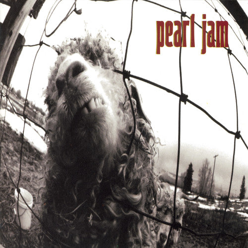 Pearl Jam - Vs. (original) - Music CD