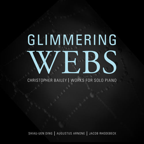 the album cover for Bailey / Arnone / Rhodebeck / Ding - Glimmering Webs