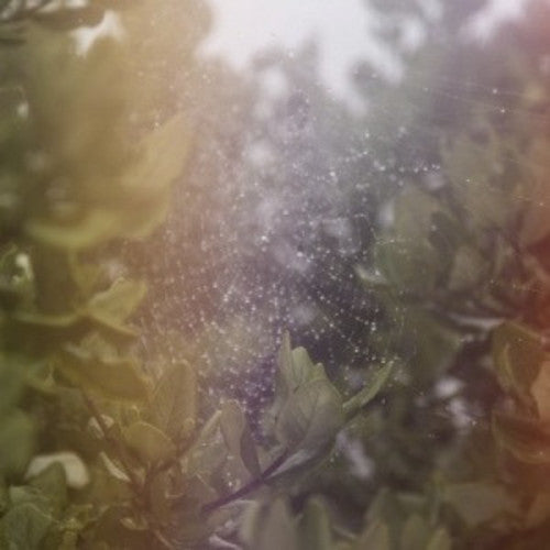 Posse - Perfect H / Voices Vinyl Record