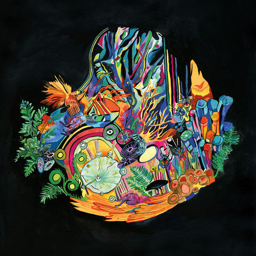 the album cover for Kaitlyn Aurelia Smith - Ears