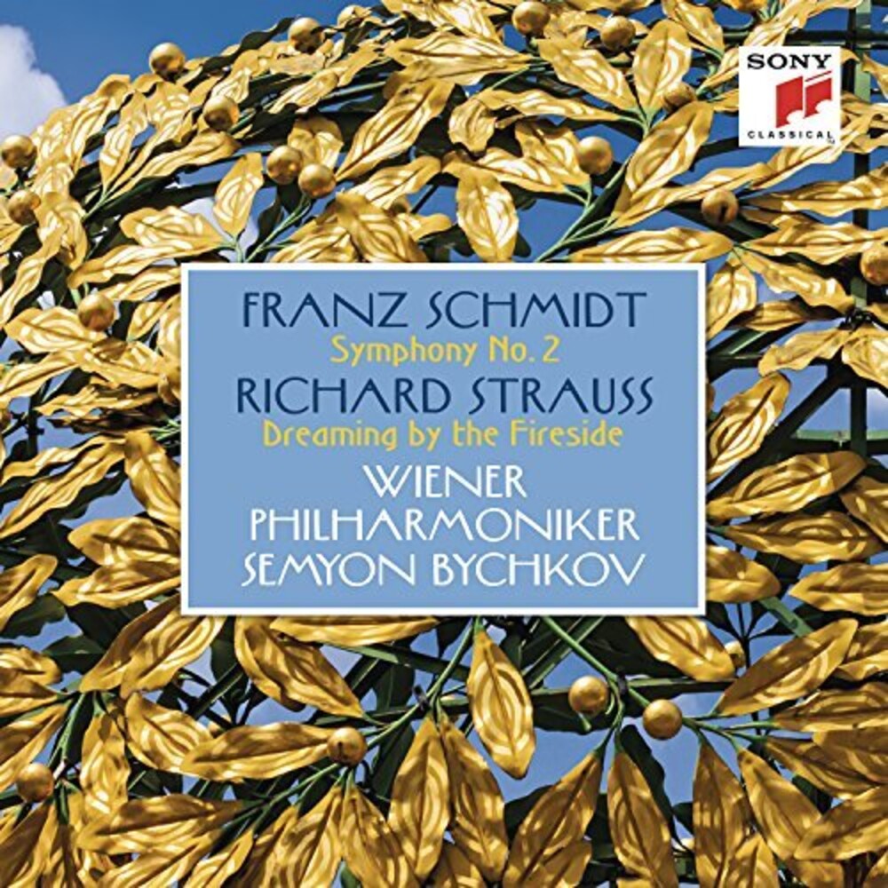 the album cover for Schmidt / Semyon Bychkov / Wiener Philharmoniker - Schmidt: Symphony 2 - Strauss: Dreaming