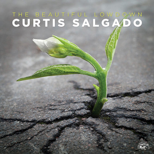 Salgado,curtis - Beautiful Lowdown - Music CD