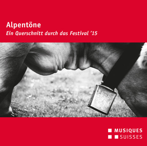 the album cover for Slavko Avsenik / Loibner,Matthias - Alpentone - Festival 2015