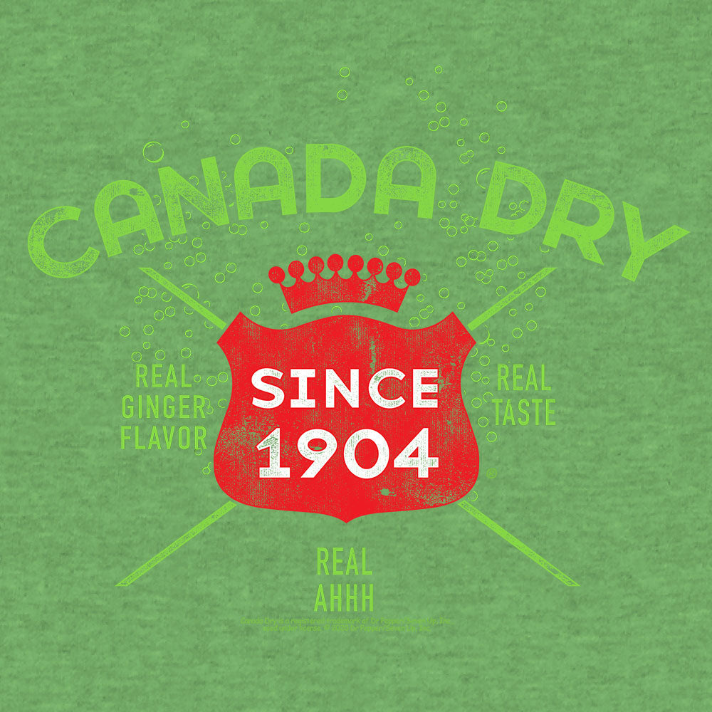 Vintage Faded Canada Dry Ginger Ale Mens T Shirt Officially Licensed Heather Kelly Green