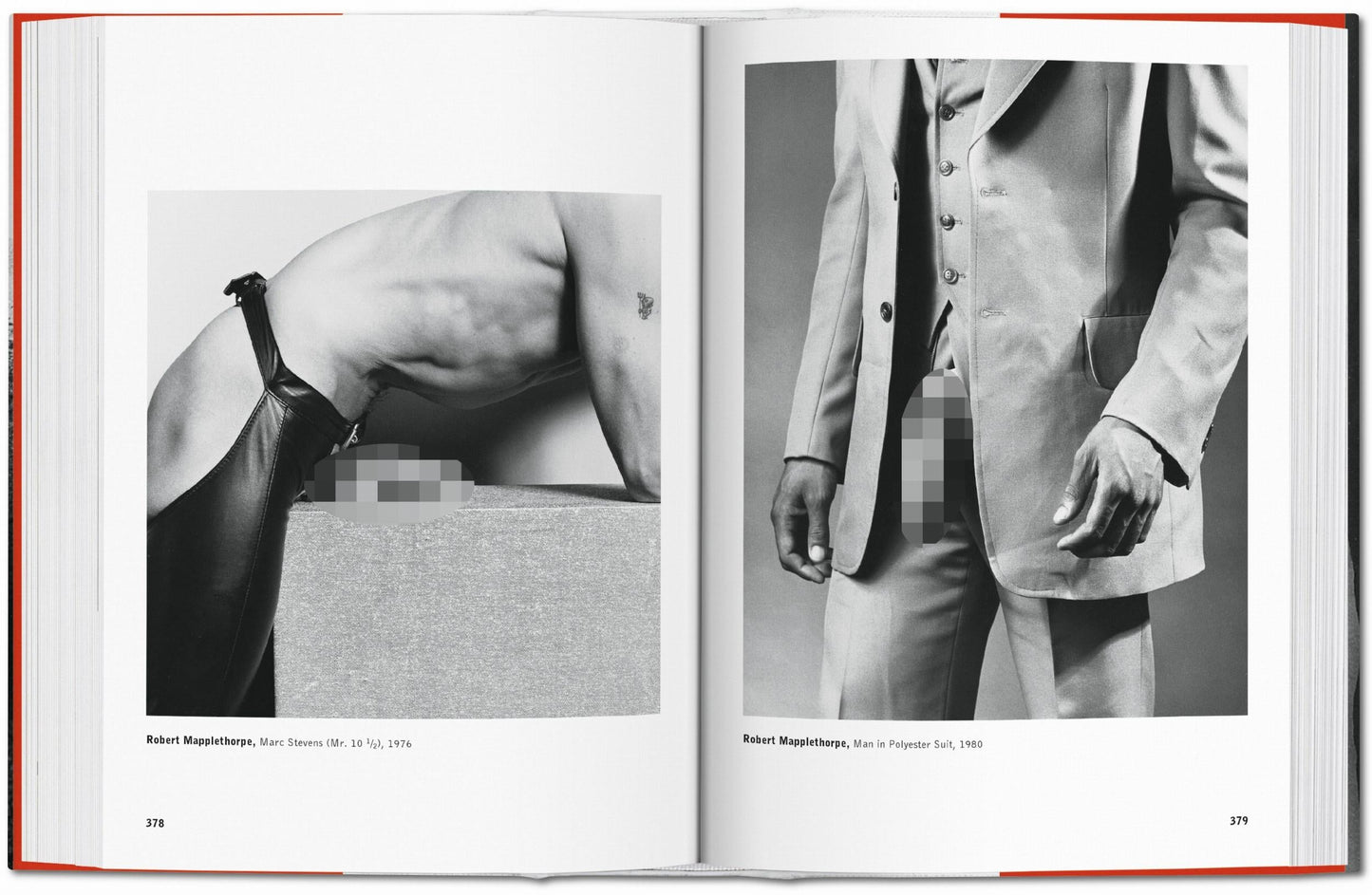 The Male Nude (German, French, English) Book