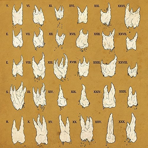 Yeesh - Confirmation Bias - Music CD