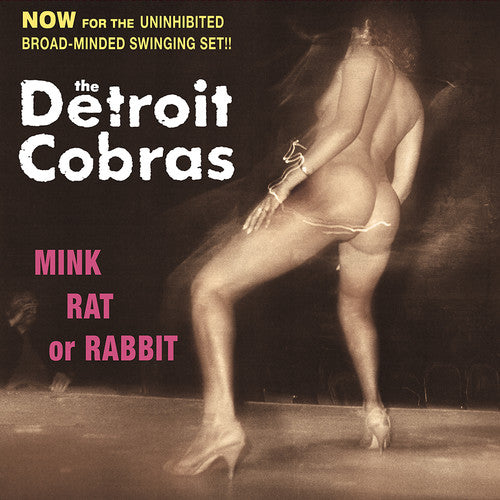 the album cover for Detroit Cobras - Mink, Rat Or Rabbit