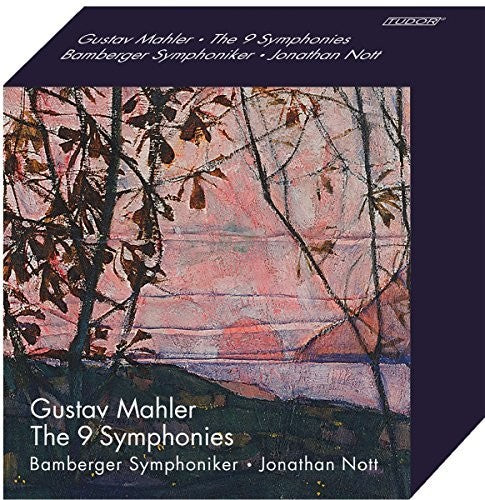 Mahler / Symphoniker / Braun - Mahler: 9 Symphonies - Super Audio CD