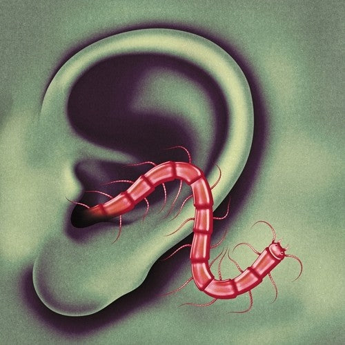 An Odd Entrances Music CD