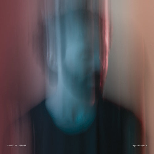the album cover for Peter Silberman - Impermanence