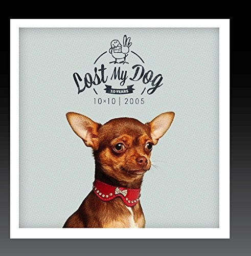 the album cover for Lost My Dog 10x10 2005 / Var - Lost My Dog 10 x 10 - 2005