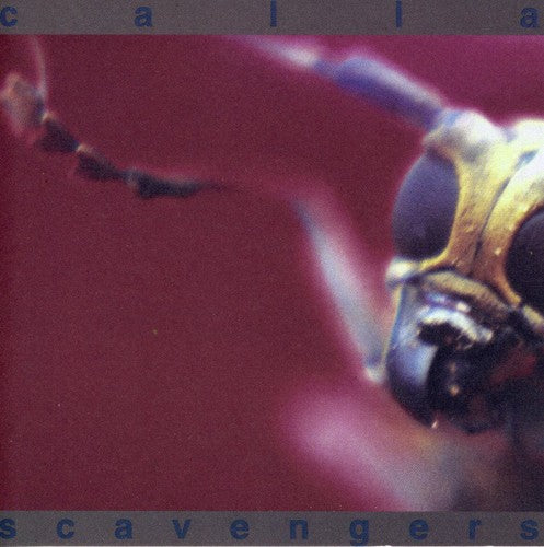Calla - Scavengers - Music CD