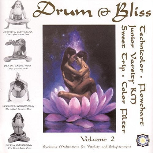 Various Artists - Drum & Bliss 2 Vinyl Record