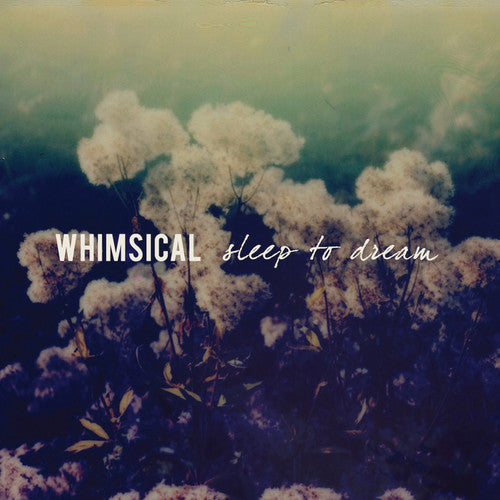 Whimsical - Sleep To Dream - Music CD